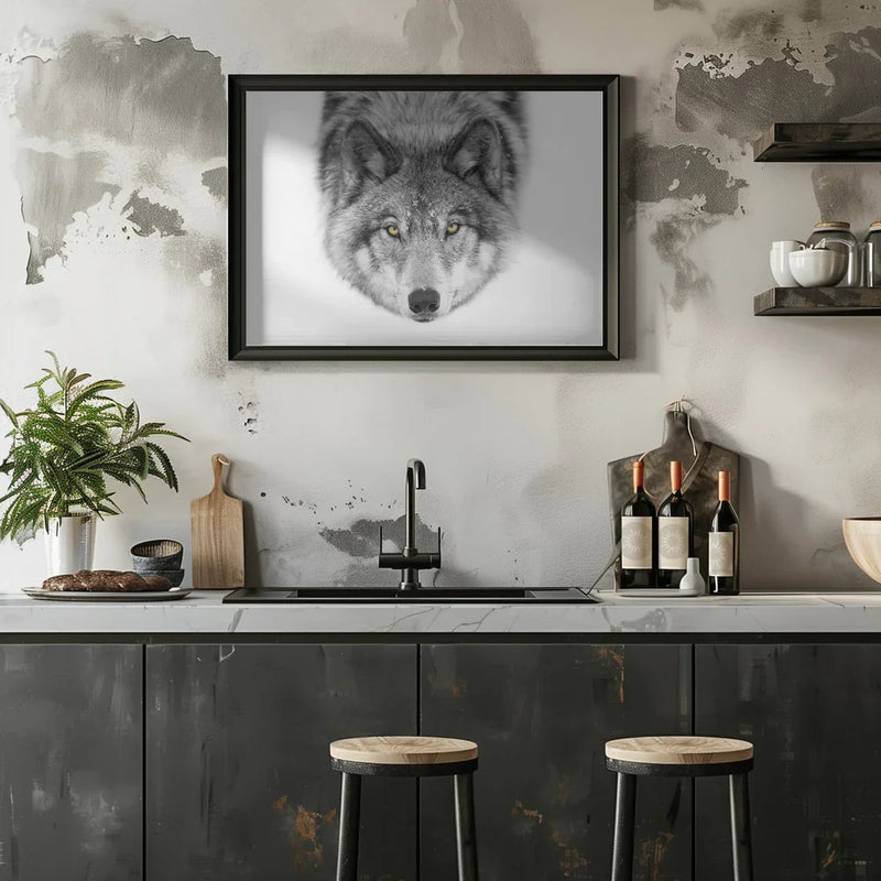 Yellow eyes Framed Art Timber Wolf Framed Art Jim Cumming | Home or Office Art