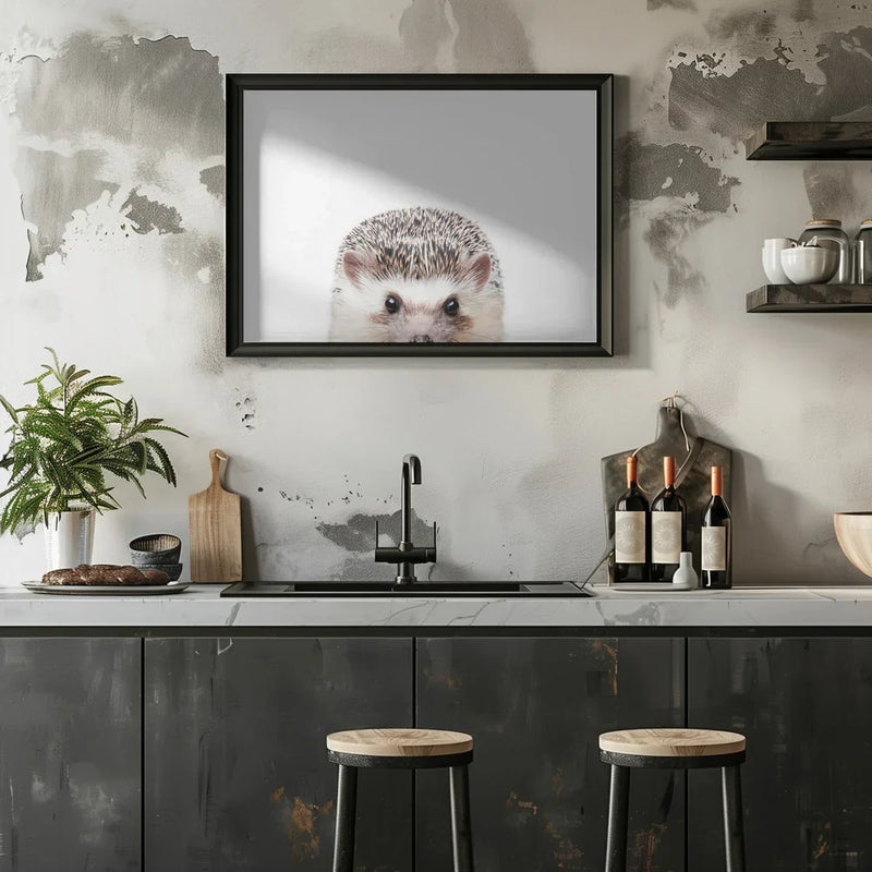 Peeking Hedgehog Framed Art Kathrin Pienaar | Home or Office Art