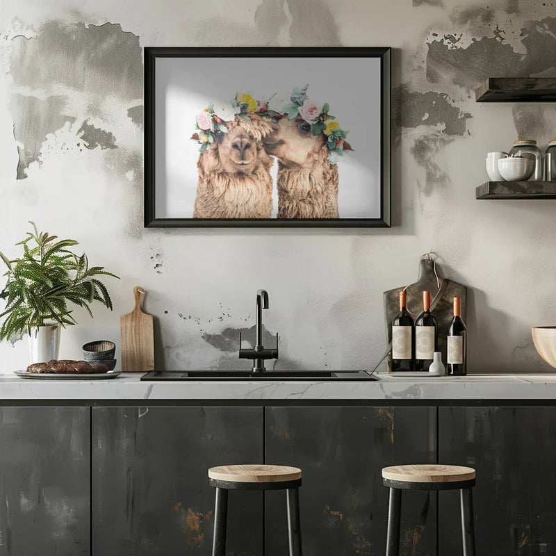 Boho Alpacas Framed Art Kathrin Pienaar | Home or Office Art