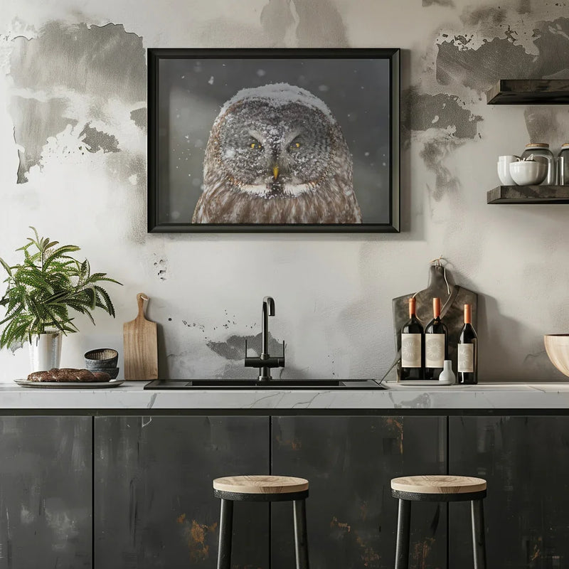 Great Grey Owl Winter Portrait Framed Art Mircea Costina | Home or Office Art