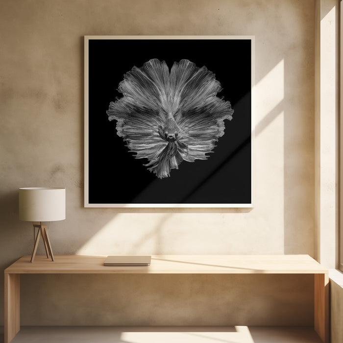 The Flower of tail Square Poster Art Print by Andi Halil