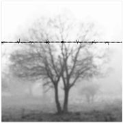 Goodbye cruel world by Wagdi Kala Square Canvas Print Art for Modern Home Decor. Decorate your office or living room with canvas artwork