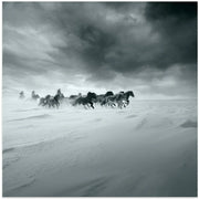 Snowy field by Shu-Guang Yang Square Canvas Print Art for Modern Home Decor. Decorate your office or living room with canvas artwork