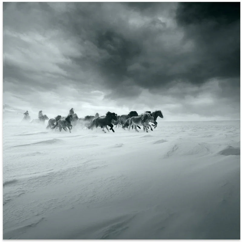 Snowy field by Shu-Guang Yang Square Canvas Print Art for Modern Home Decor. Decorate your office or living room with canvas artwork