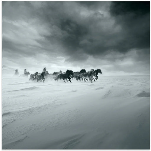 Snowy field by Shu-Guang Yang Square Canvas Print Art for Modern Home Decor. Decorate your office or living room with canvas artwork