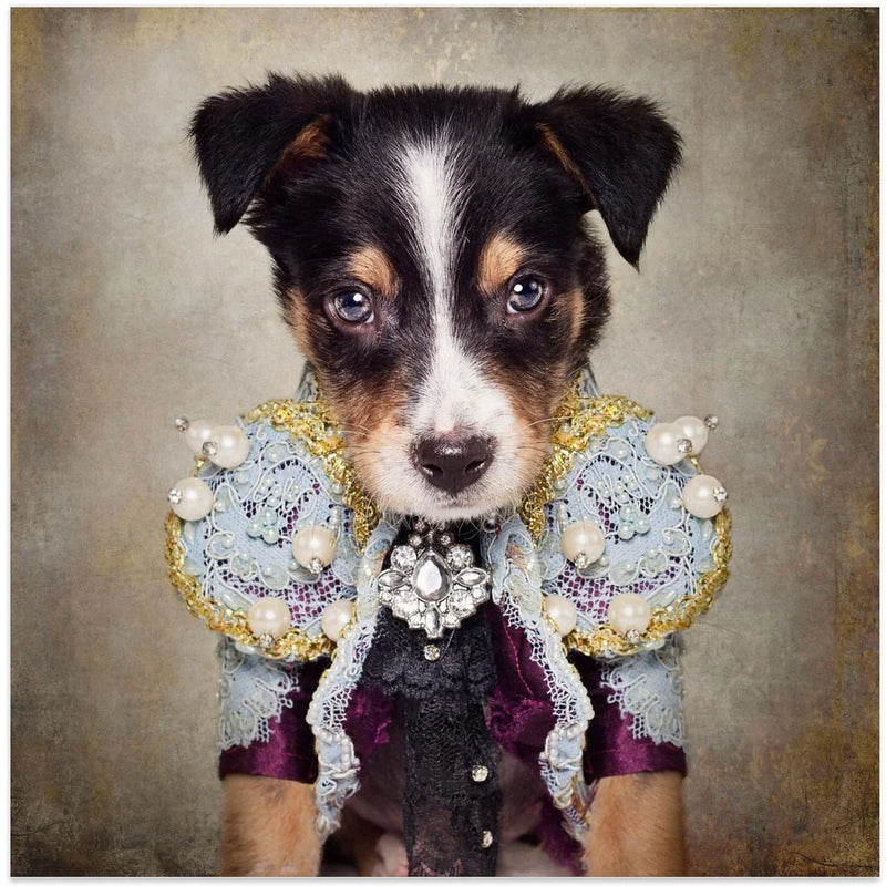 Shelter Pets Project - Loki Square Canvas Art  Tammy Swarek 