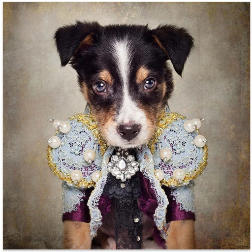 Shelter Pets Project - Loki Square Canvas Art  Tammy Swarek 