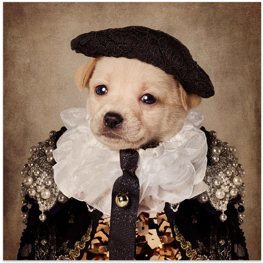 Shelter Pets project - Mia Square Canvas Art  Tammy Swarek 