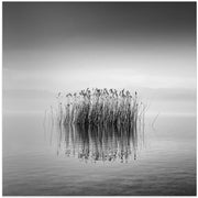 Black and White Silence Square Canvas Art  George Digalakis 