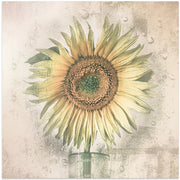 sunflower by Kerstin Kaufmann Square Canvas Print Art for Modern Home Decor. Decorate your office or living room with canvas artwork