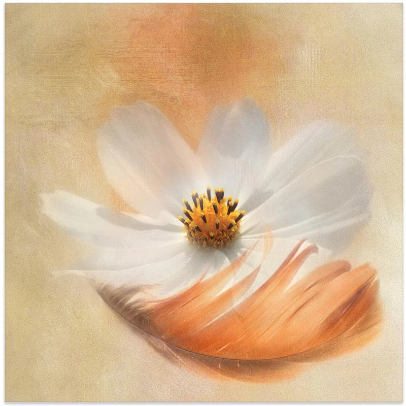 Light as a Feather by Gaille Gray Square Canvas Print Art for Modern Home Decor. Decorate your office or living room with canvas artwork