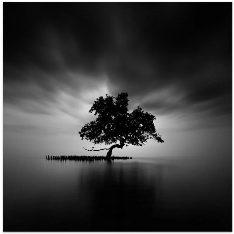 Back Light by Rony Tjayana Square Canvas Print Art for Modern Home Decor. Decorate your office or living room with canvas artwork