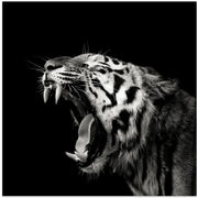 Primal Yawn #4 Square Canvas Art  Christian Meermann 