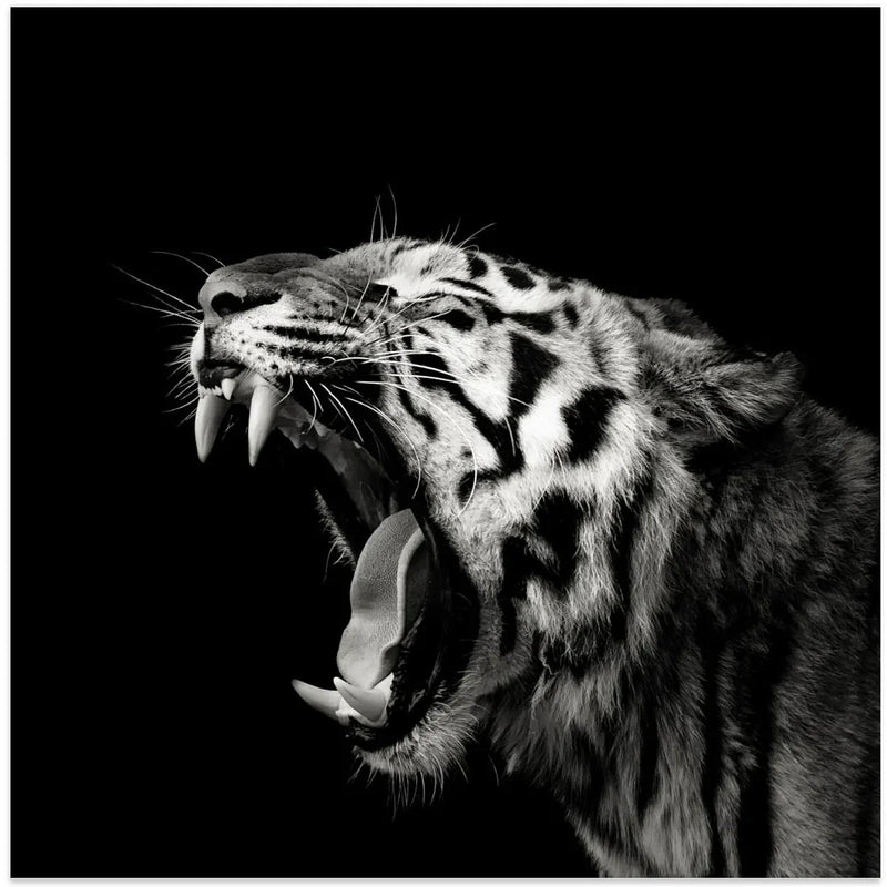 Primal Yawn #4 Square Canvas Art  Christian Meermann 