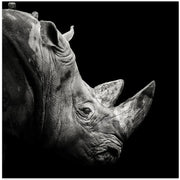 Rhino by Christian Meermann Square Canvas Print Art for Modern Home Decor. Decorate your office or living room with canvas artwork
