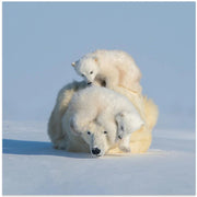 Patient mom by Hao Jiang Square Canvas Print Art for Modern Home Decor. Decorate your office or living room with canvas artwork