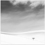 Single tree by MOSTAFA NODEH Square Canvas Print Art for Modern Home Decor. Decorate your office or living room with canvas artwork