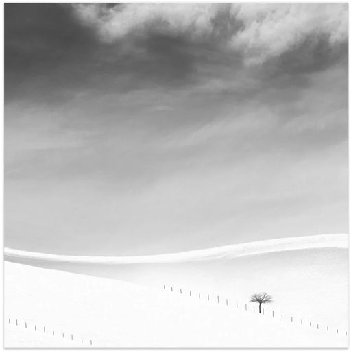 Single tree by MOSTAFA NODEH Square Canvas Print Art for Modern Home Decor. Decorate your office or living room with canvas artwork