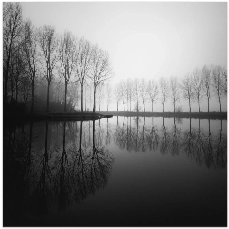 In dreams by Christophe Staelens Square Canvas Print Art for Modern Home Decor. Decorate your office or living room with canvas artwork