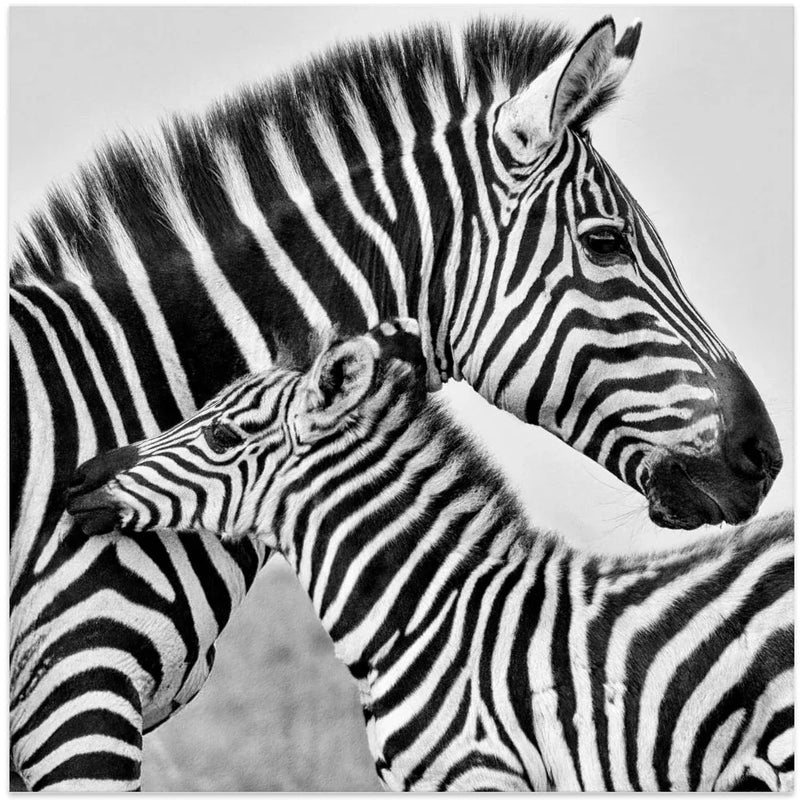 Love by MIN LI Square Canvas Print Art for Modern Home Decor. Decorate your office or living room with canvas artwork