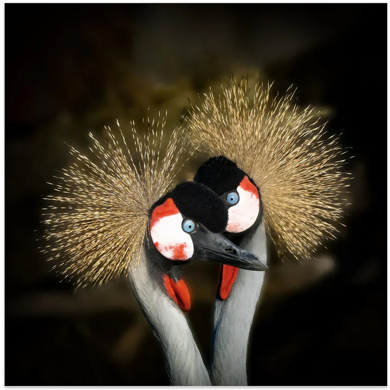 Makeup Square Canvas Art  Michel Romaggi 