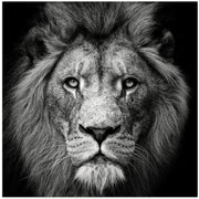 Stare Me Down #3 Square Canvas Art  Christian Meermann 