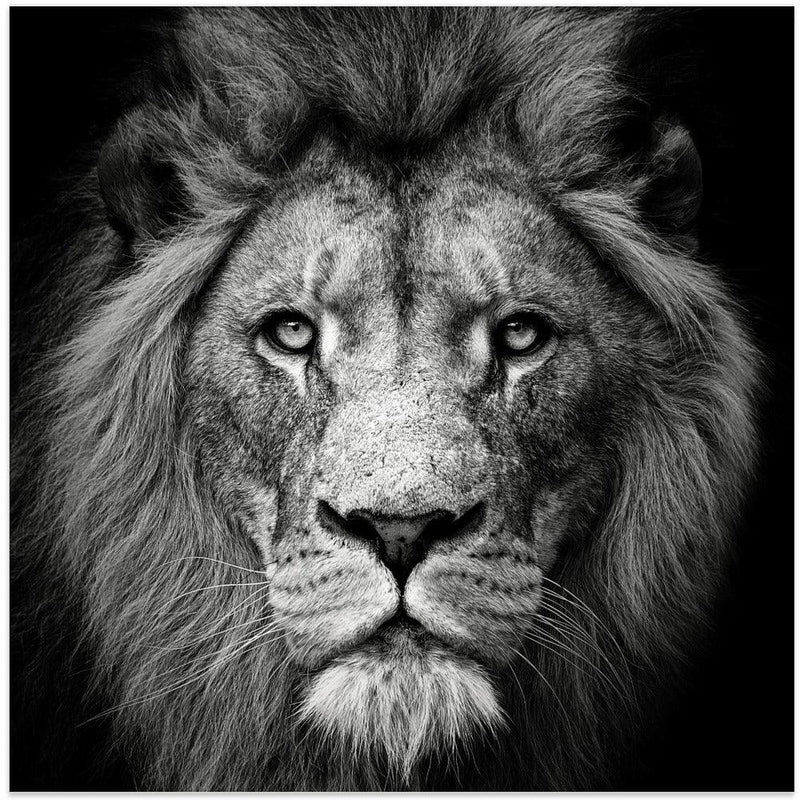 Stare Me Down #3 Square Canvas Art  Christian Meermann 