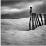 Fence by Elisabeth van Helden Square Canvas Print Art for Modern Home Decor. Decorate your office or living room with canvas artwork