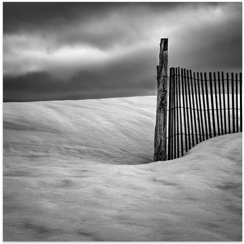 Fence by Elisabeth van Helden Square Canvas Print Art for Modern Home Decor. Decorate your office or living room with canvas artwork