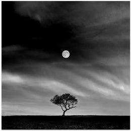 Stories under the Moon (No.5) by Hsiao-Yang Fei Square Canvas Print Art for Modern Home Decor. Decorate your office or living room with canvas artwork