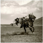 Galloping by Rachel Pansky Square Canvas Print Art for Modern Home Decor. Decorate your office or living room with canvas artwork