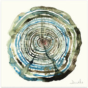 Water Oak Square Canvas Art  Dan Hobday 