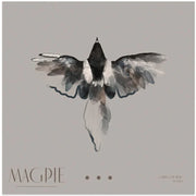 Magpie Square Canvas Art  Gabriella Roberg 
