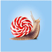 Snail Candy Square Canvas Art  Artem Pozdniakov 