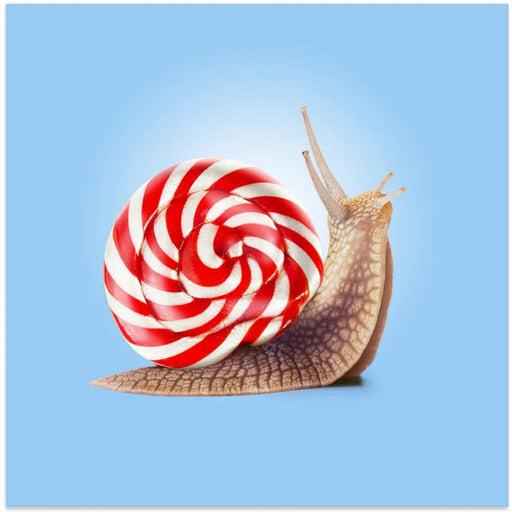 Snail Candy Square Canvas Art  Artem Pozdniakov 