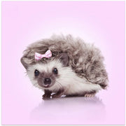 Curvy Hedgehog Square Canvas Art  Artem Pozdniakov 