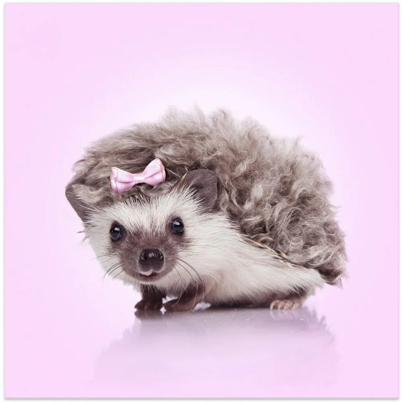 Curvy Hedgehog Square Canvas Art  Artem Pozdniakov 