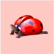 Ladybug Turtle Square Canvas Art  Artem Pozdniakov 