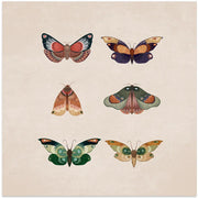 Kelebekler by Emel Tunaboylu Square Canvas Print Art for Modern Home Decor. Decorate your office or living room with canvas artwork