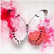 White Morpho Butterfly With Crimson Ink by Alyson Fennell Square Canvas Print Art for Modern Home Decor. Decorate your office or living room with canvas artwork