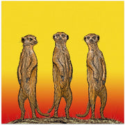 Meerkat Gang at Sunset by Carlo Kaminski Square Canvas Print Art for Modern Home Decor. Decorate your office or living room with canvas artwork