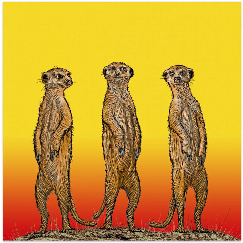 Meerkat Gang at Sunset by Carlo Kaminski Square Canvas Print Art for Modern Home Decor. Decorate your office or living room with canvas artwork