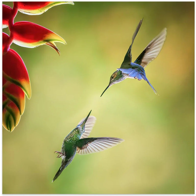 Pas de deux by Yun Gong Square Canvas Print Art for Modern Home Decor. Decorate your office or living room with canvas artwork