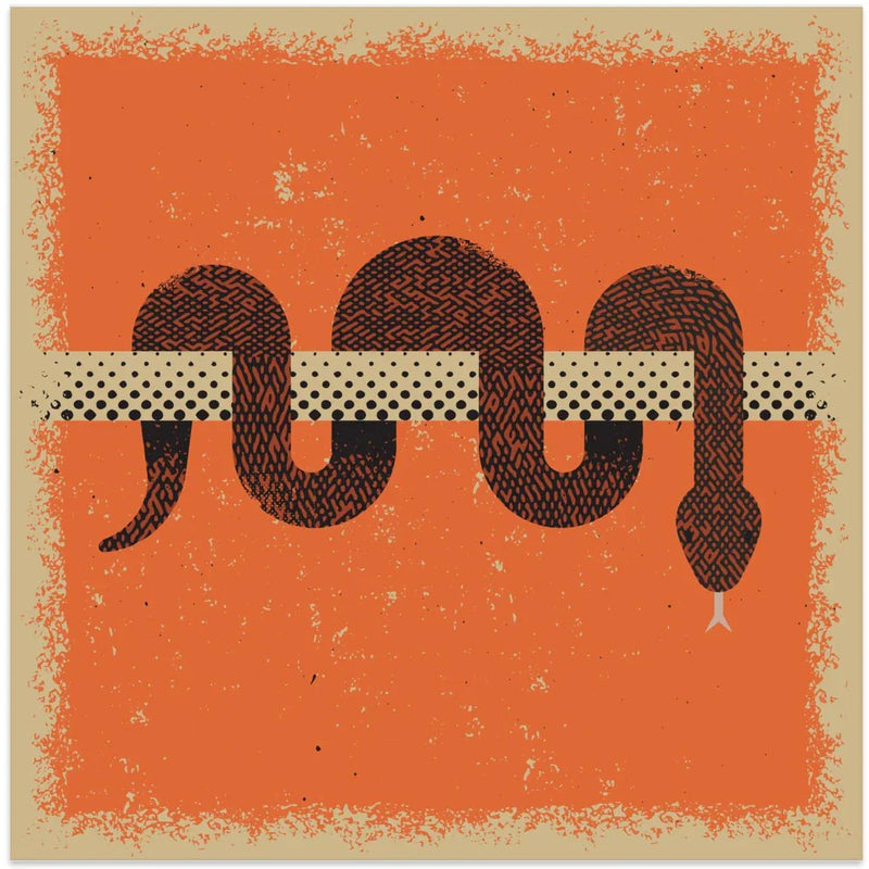 Snake 2 by Vision Grasp Art Square Canvas Print Art for Modern Home Decor. Decorate your office or living room with canvas artwork