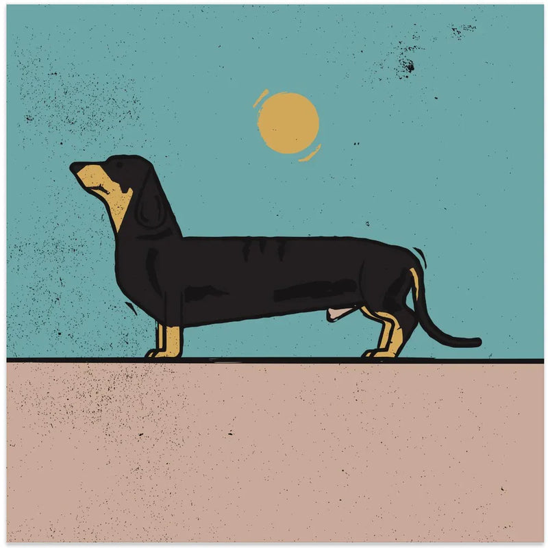 Dachshund by Vision Grasp Art Square Canvas Print Art for Modern Home Decor. Decorate your office or living room with canvas artwork