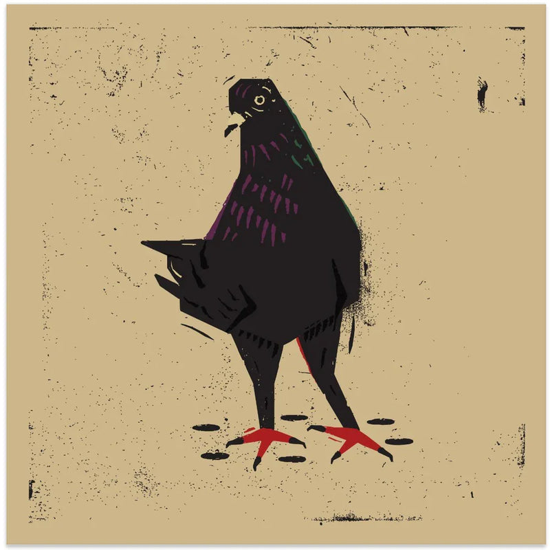 Pigeon by Vision Grasp Art Square Canvas Print Art for Modern Home Decor. Decorate your office or living room with canvas artwork