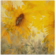 Sunflower by Nel Talen Square Canvas Print Art for Modern Home Decor. Decorate your office or living room with canvas artwork