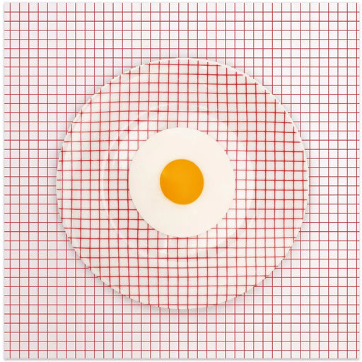 Egg Plate Ou0.1 by Julia Ramiro Square Canvas Print Art for Modern Home Decor. Decorate your office or living room with canvas artwork
