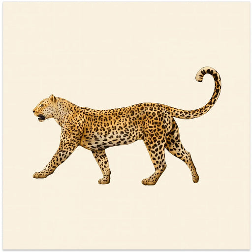 Leopard by Giulia Borsi Square Canvas Print Art for Modern Home Decor. Decorate your office or living room with canvas artwork