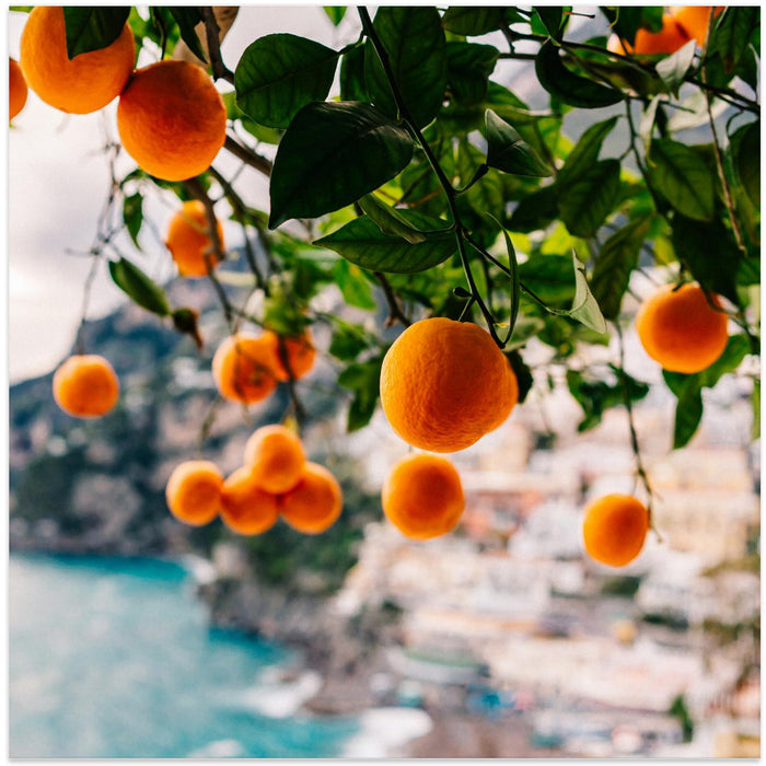 Amalfi Coast Oranges Square Poster Art Print by Bethany Young
